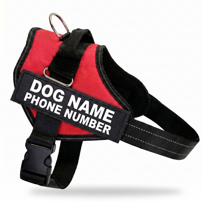 Adjustable Reflective Dog Chest Strap with Leash