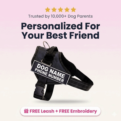Adjustable Reflective Dog Chest Strap with Leash